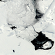 Illustration for article titled An Iceberg Six Times The Size Of Manhattan Is Now Adrift At Sea